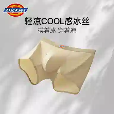 Dickies 3