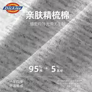 Dickies Arrow Shorts