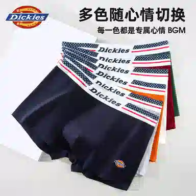 Dickies 10A95PLUS