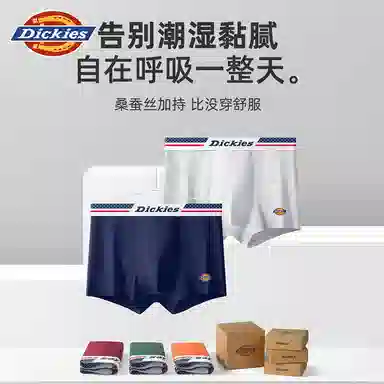 Dickies 10A95PLUS