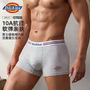 Dickies