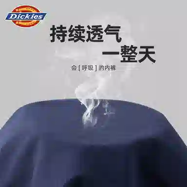 Dickies 10A