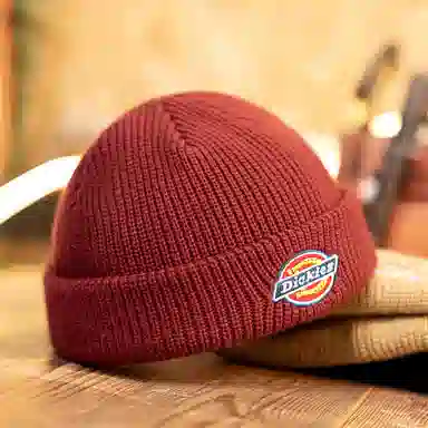 Dickies Beanie
