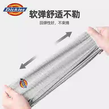 Dickies Arrow Shorts