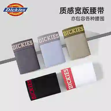 Dickies 3