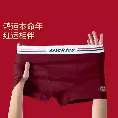 Dickies 10A Antibacterial Cotton Boxer Briefs Set