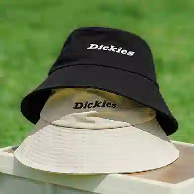 Dickies