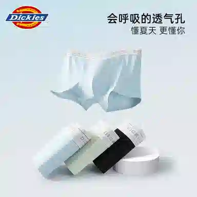 Dickies 3