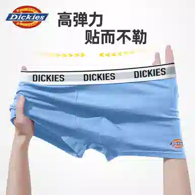 Dickies 10A95