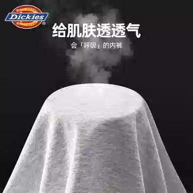 Dickies Arrow Shorts