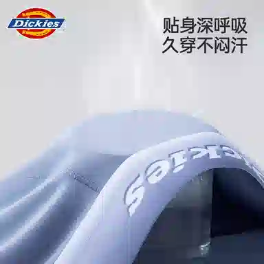 Dickies 7A 3