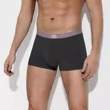 Dickies Seamless Boxer Brief Set