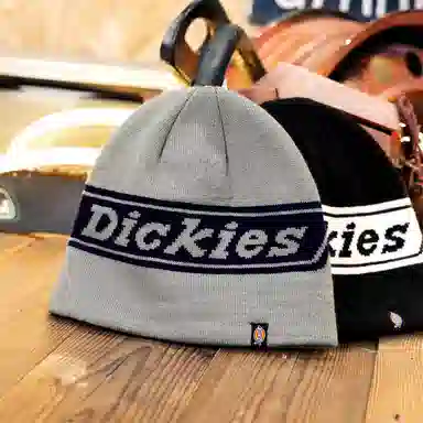 Dickies LOGO