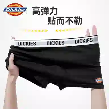 Dickies 10A95