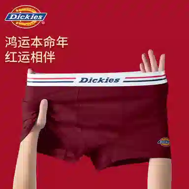 Dickies 10A Antibacterial Cotton Boxer Briefs Set