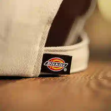 Dickies