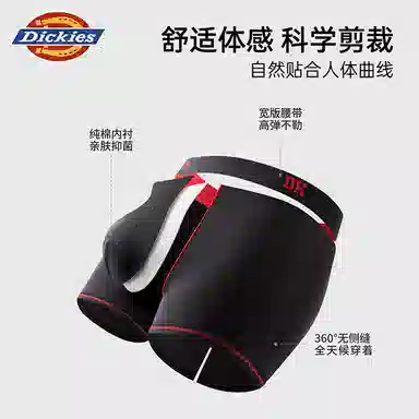 Dickies 3