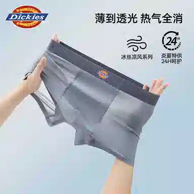 Dickies 100 3