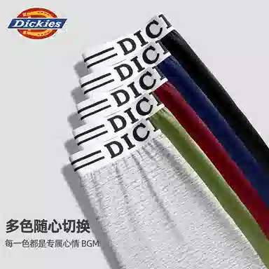 Dickies Arrow Shorts