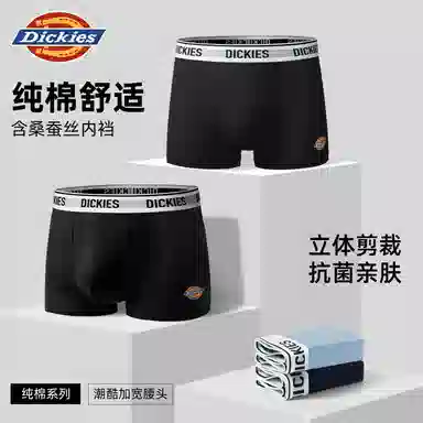 Dickies 10A95