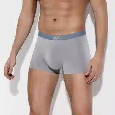 Dickies Seamless Boxer Brief Set