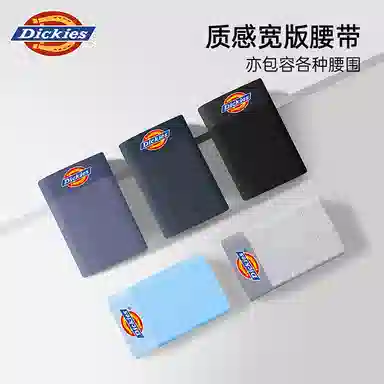 Dickies 3