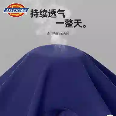 Dickies 10A Cotton Boxer Shorts