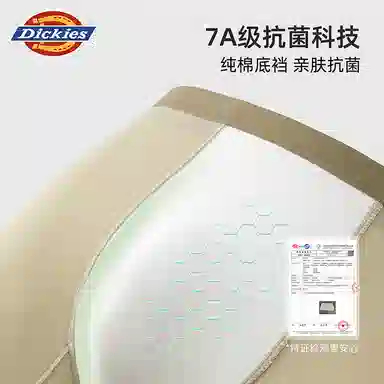 Dickies 3