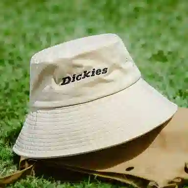 Dickies