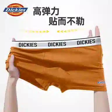 Dickies 10A95