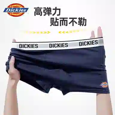 Dickies 10A95