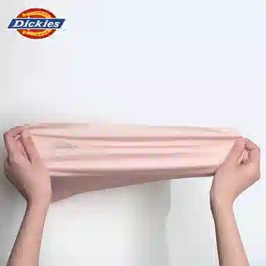 Dickies V