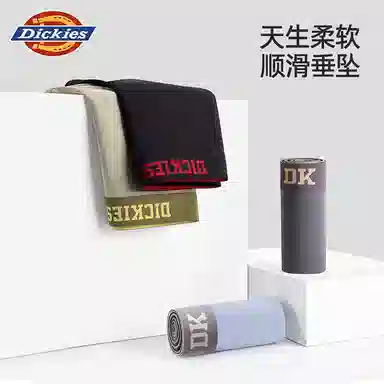 Dickies 3