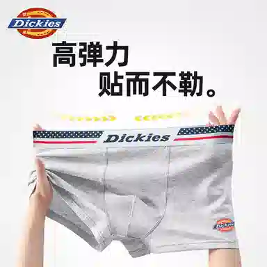 Dickies 10A95PLUS
