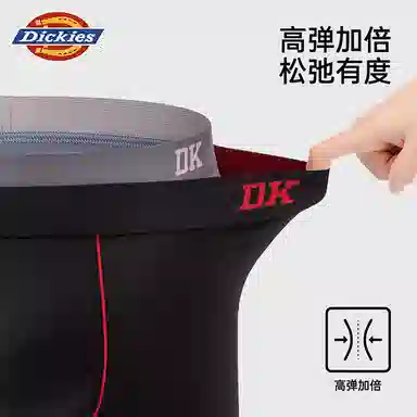 Dickies 3