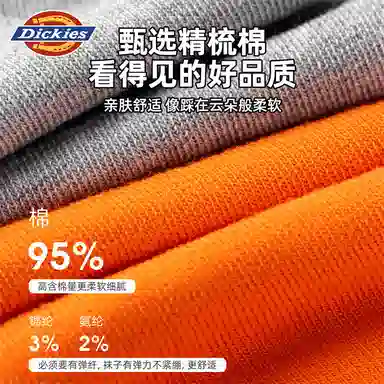Dickies 10A95