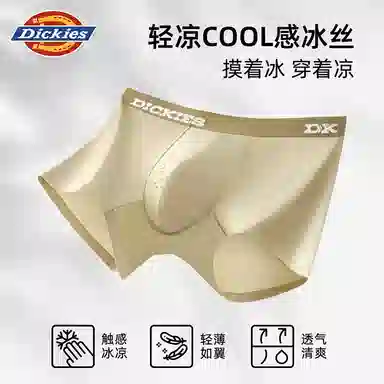 Dickies 3