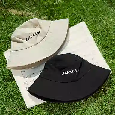 Dickies