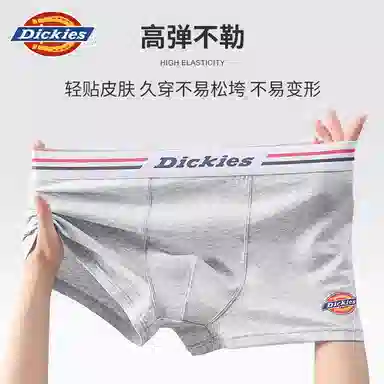 Dickies