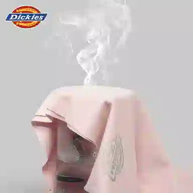 Dickies V