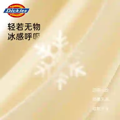 Dickies 3