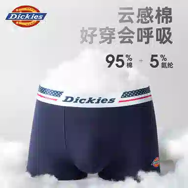 Dickies 10A95PLUS