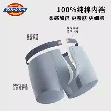 Dickies 100 3