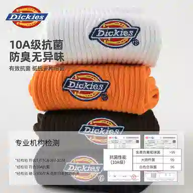 Dickies 10A95