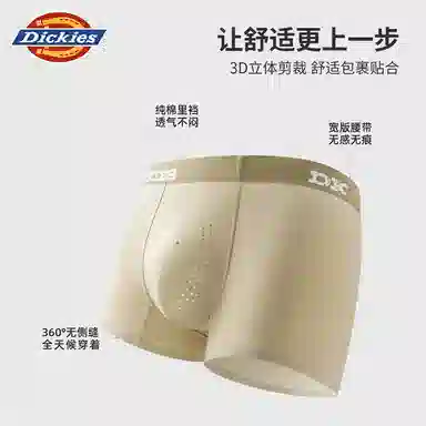 Dickies 3