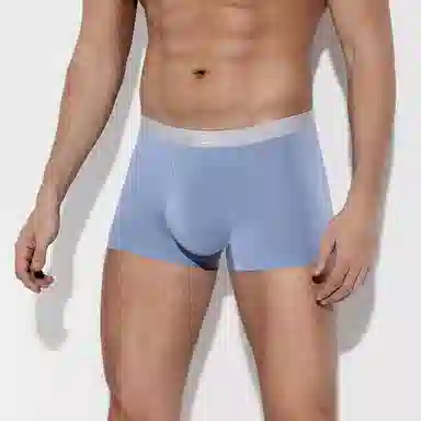 Dickies Seamless Boxer Brief Set