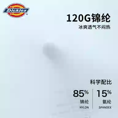 Dickies