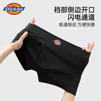 Dickies 3
