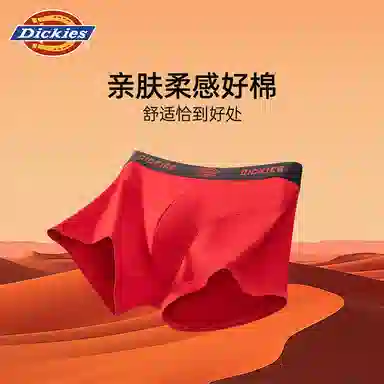 Dickies 7A 3