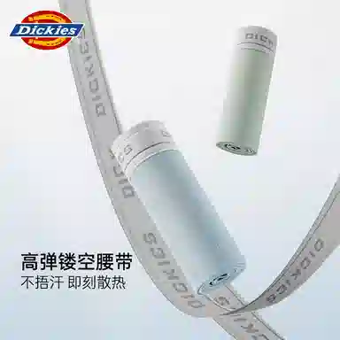 Dickies 3